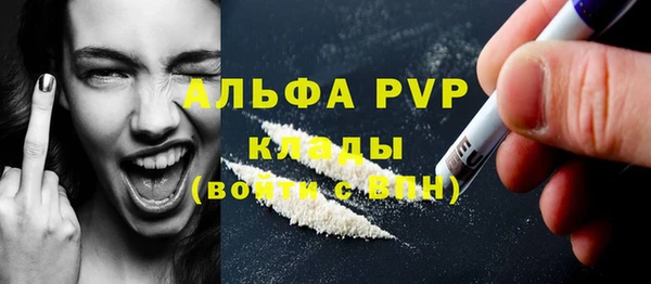 дмт Дмитровск