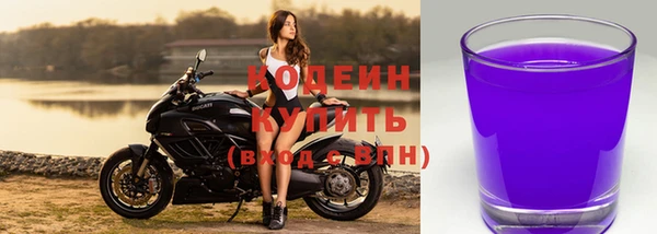 дмт Дмитровск