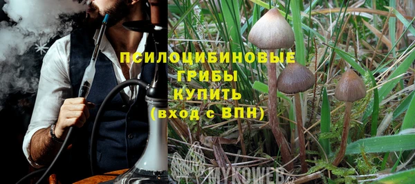 ALPHA PVP Дмитриев