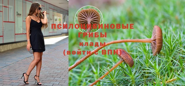 прущая мука Дмитров