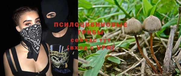дмт Дмитровск