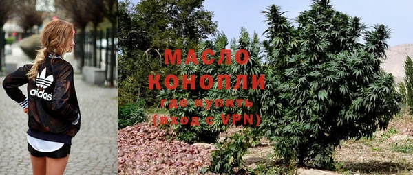дмт Дмитровск