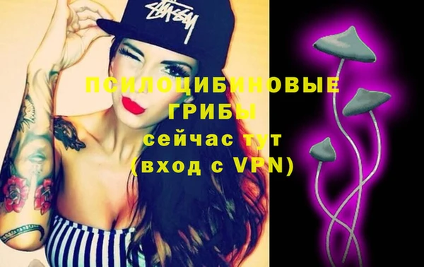 прущая мука Дмитров